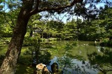 Tourist destination images of Shimizu-en Garden(6)