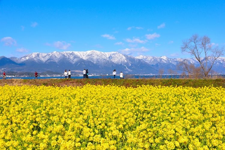 Daiichi Nagisa Park