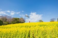 Tourist destination images of Kobe General Sports Park(4)