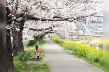 Tourist destination images of Saga River(3)