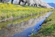Tourist destination images of Saga River(1)