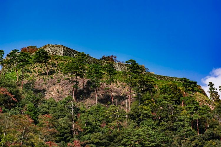 Shuyama Castle Ruins