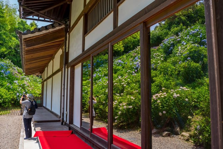 Kanonji Temple