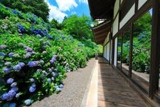Tourist destination images of Kanonji Temple(1)