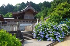 Tourist destination images of Awai Shrine(1)