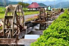 Tourist destination images of Yasunami Water Wheel Village(1)