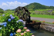 Tourist destination images of Yasunami Water Wheel Village(2)