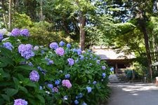 Tourist destination images of Todai-ji Betsuin, Suo Amita-dera Main Hall(2)