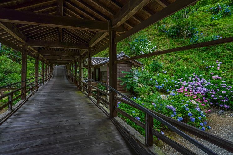 Myoryo-ji Temple