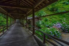 Tourist destination images of Myoryo-ji Temple(1)