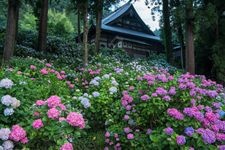 Tourist destination images of Myoryo-ji Temple(3)