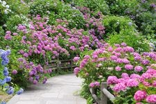 下田公园的旅游景点图片(1)