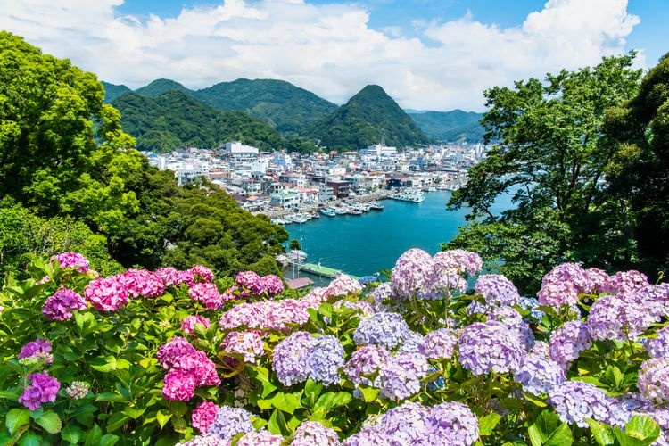 Parque Shimoda