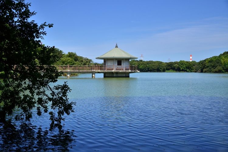 山田池公園的觀光景點圖片(2)