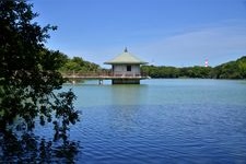 Tourist destination images of Yamadaike Park(2)