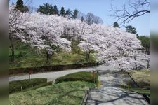 Tourist destination images of Kenmin Koen Taikoyama Land (Taikoyama Land)(4)