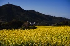 Tourist destination images of Uotsu-gasaki Park(3)
