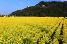 Tourist destination images of Michi-no-Eki Harukura Roadside Station(2)