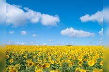 Tourist destination images of Palette no Oka (Palette Hill)(3)