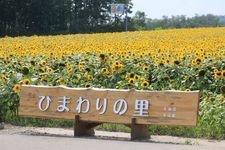 Tourist destination images of Hokuryu Sunflower Village(1)