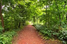 Tourist destination images of Hokkaido University Botanical Garden(3)