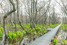 Tourist destination images of Makunbetsu Bog(2)