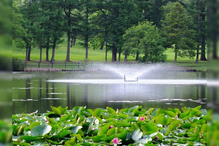 Hachirou-numa Park