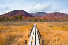 世界谷地原生花園の観光地画像(1)