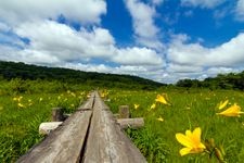 世界谷地原生花園の観光地画像(2)