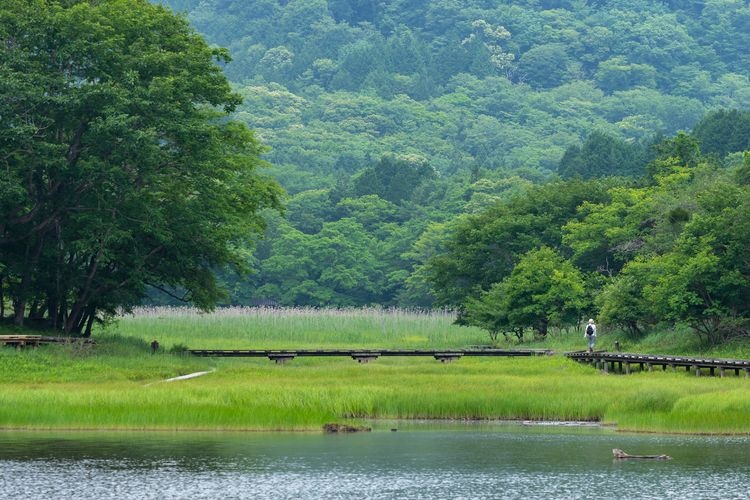 大沼公園