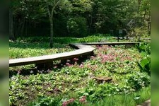 Tourist destination images of Nikko Kamisan'yo Aquatic Botanical Garden(2)