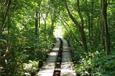 Tourist destination images of Tamahara Marshland(1)