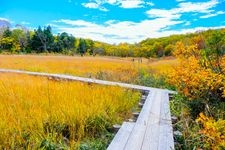 Tourist destination images of Tamahara Marshland(2)