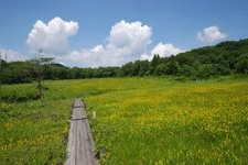 Tourist destination images of Tamahara Marshland(3)