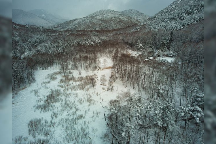 Iyari Shitsugen (Iyari Wetland) 2