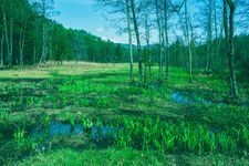 Tourist destination images of Iyari Wetland(2)