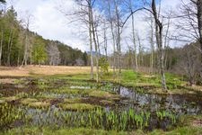 Tourist destination images of Iyari Wetland(4)