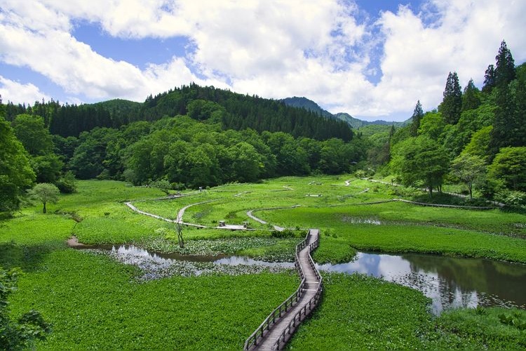 たきがしら湿原