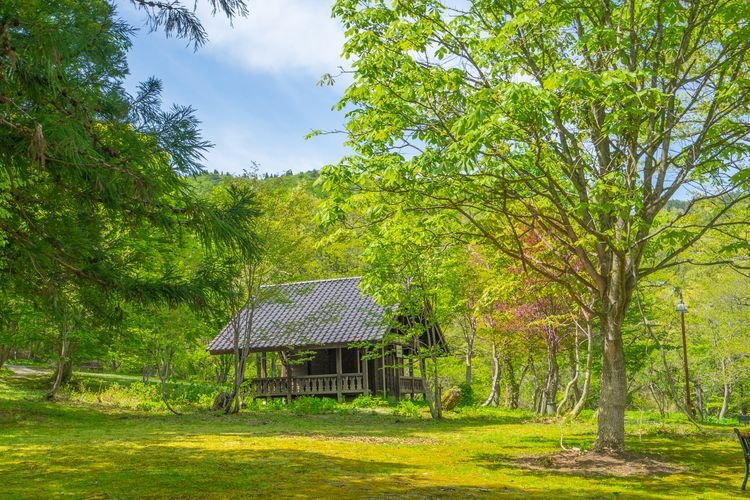 Tajima Kogen Botanical Garden (Torikawa Taira) 3