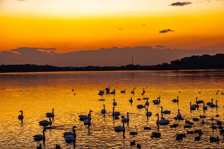 Tourist destination images of Tataranuma Park(3)