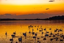 Tourist destination images of Tataranuma Park(3)