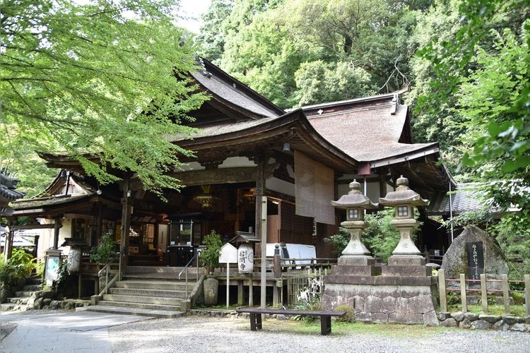 Tourist destination images of Shōhō-ji Temple (Wisteria Temple)(2)