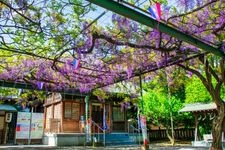 Tourist destination images of Kokuryo Shrine(1)