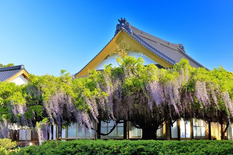 Juunji Temple