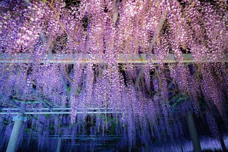 Tourist destination images of Otoshi Jinja Shrine(3)
