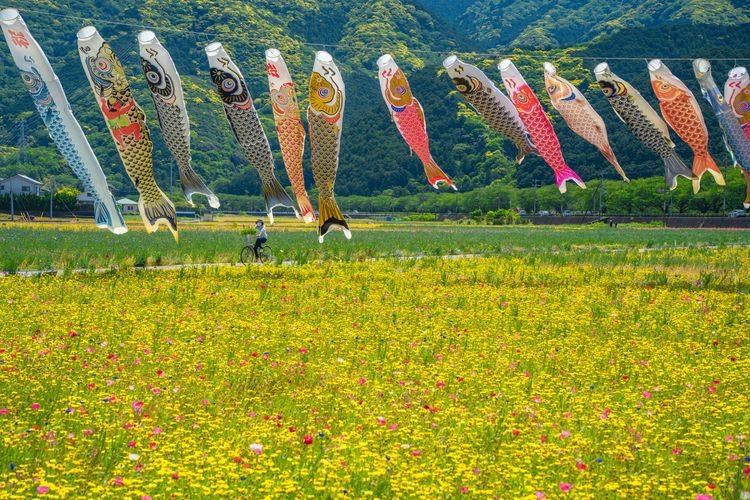 田んぼをつかった花畑的觀光地圖片(3)