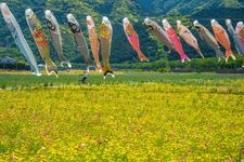 田んぼをつかった花畑的觀光地圖片(3)