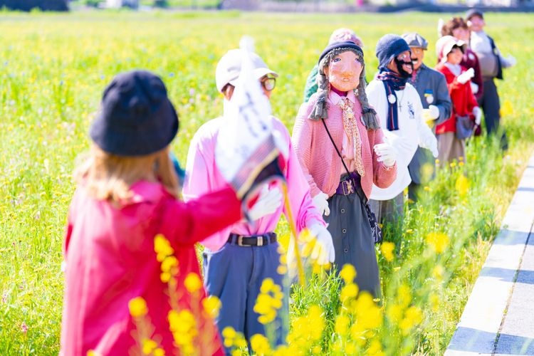 田んぼをつかった花畑的觀光地圖片(2)