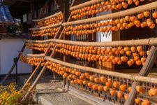 Tourist destination images of Old Takano Residence (Kanzo Yashiki)(4)