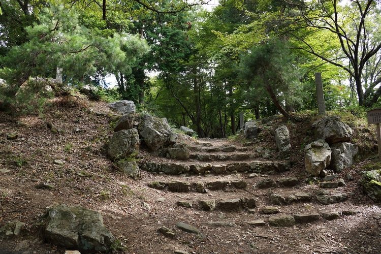 Odachi Castle